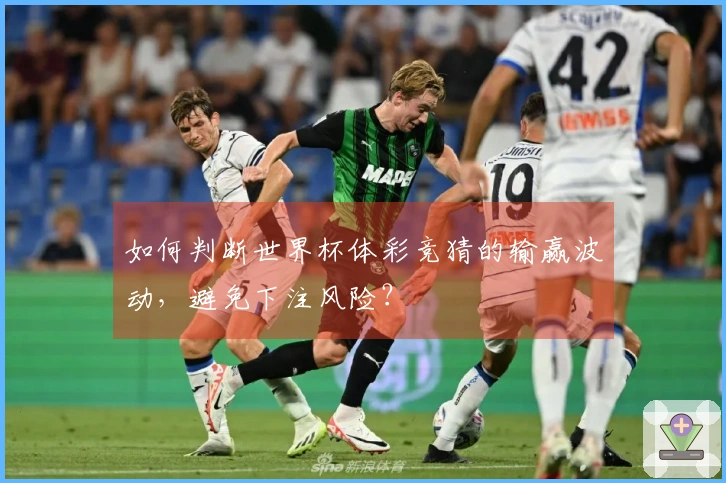 如何判断世界杯体彩竞猜的输赢波动，避免下注风险？