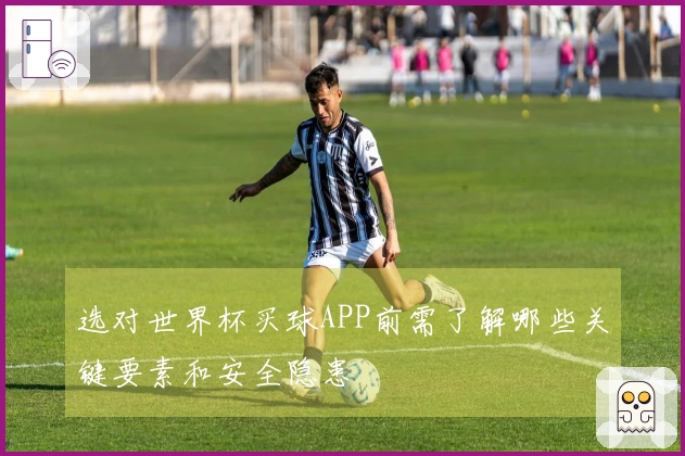 选对世界杯买球APP前需了解哪些关键要素和安全隐患