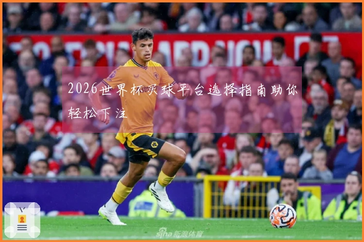 2026世界杯买球平台选择指南助你轻松下注