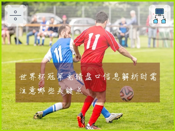 世界杯冠军竞猜盘口信息解析时需注意哪些关键点