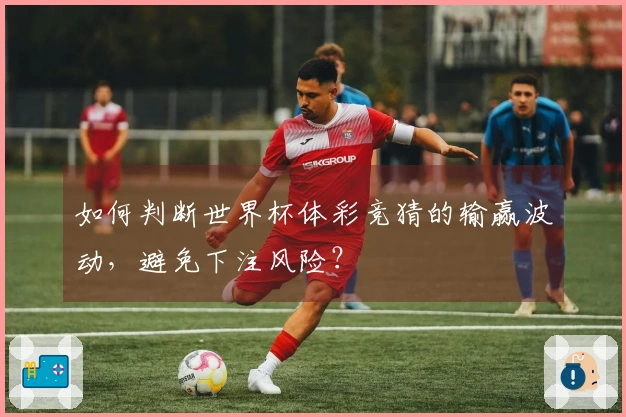 如何判断世界杯体彩竞猜的输赢波动，避免下注风险？
