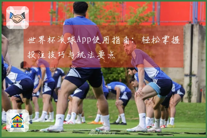 世界杯滚球App使用指南：轻松掌握投注技巧与玩法要点