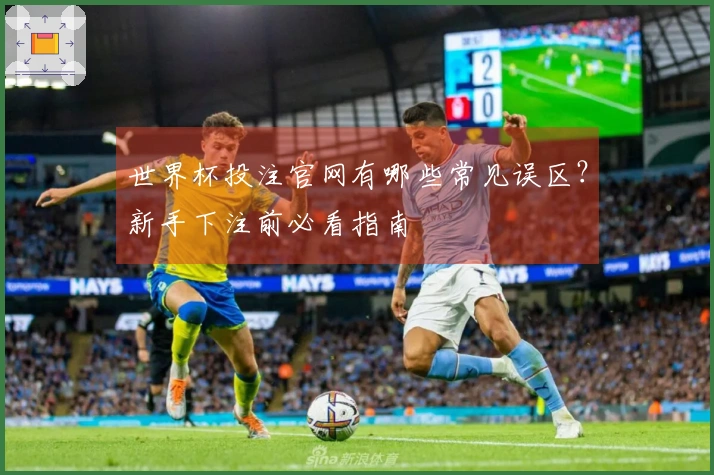 世界杯投注官网有哪些常见误区？新手下注前必看指南