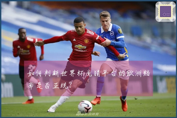 如何判断世界杯竞猜平台的欧洲赔率是否正规？