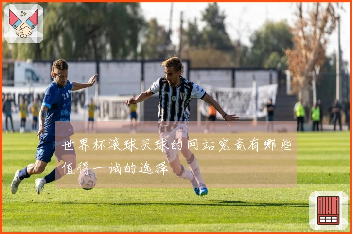 世界杯滚球买球的网站究竟有哪些值得一试的选择