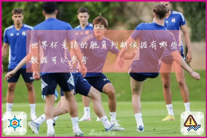 世界杯竞猜的胜负判断依据有哪些数据可以参考