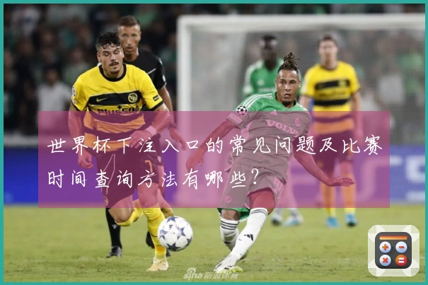 世界杯下注入口的常见问题及比赛时间查询方法有哪些？