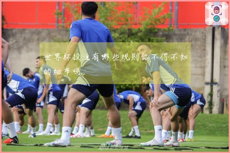 世界杯投注有哪些规则你不得不知的细节吗