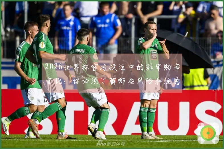 2026世界杯官方投注中的冠军赔率变化，你必须了解哪些风险和注意事项