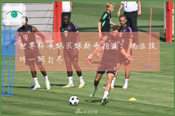 世界杯滚球买球新手指南：玩法技巧一网打尽