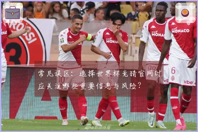 常见误区：选择世界杯竞猜官网时应关注哪些重要信息与风险？