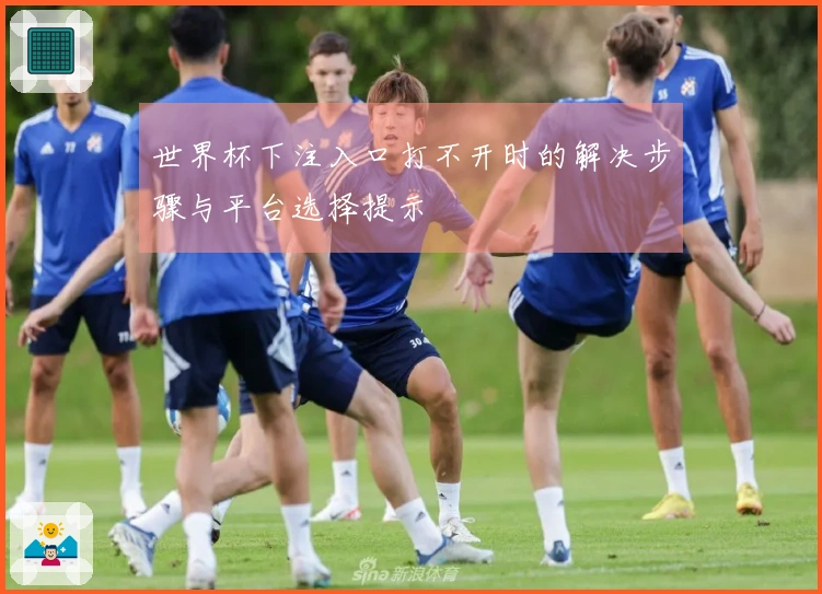 世界杯下注入口打不开时的解决步骤与平台选择提示