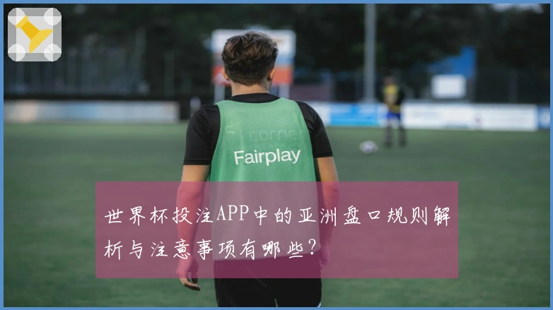 世界杯投注APP中的亚洲盘口规则解析与注意事项有哪些？