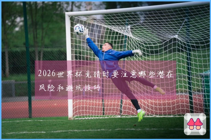 2026世界杯竞猜时要注意哪些潜在风险和避坑技巧