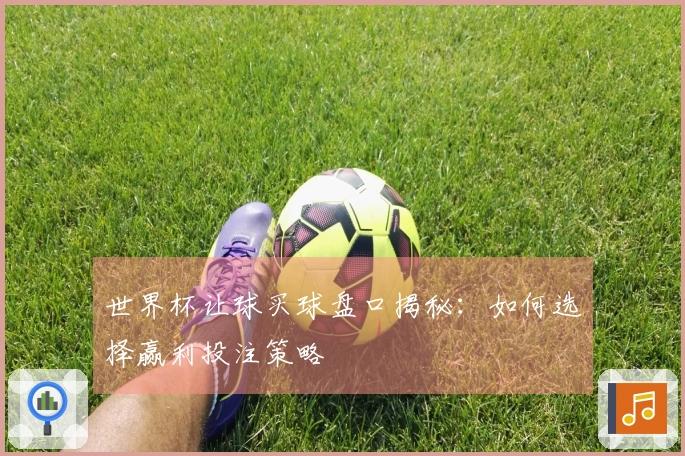 世界杯让球买球盘口揭秘：如何选择赢利投注策略