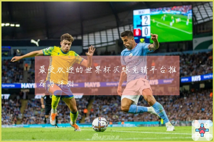 最受欢迎的世界杯买球竞猜平台推荐与评测