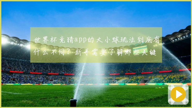 世界杯竞猜app的大小球玩法到底有什么不同？新手需要了解哪些关键点？