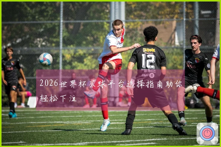 2026世界杯买球平台选择指南助你轻松下注
