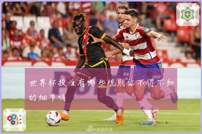 世界杯投注有哪些规则你不得不知的细节吗
