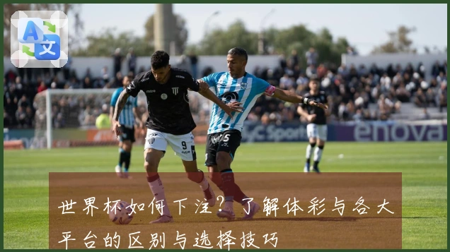 世界杯如何下注？了解体彩与各大平台的区别与选择技巧