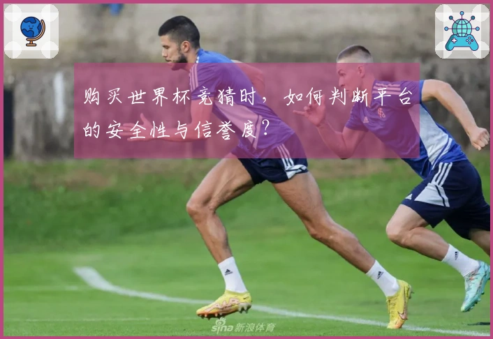 购买世界杯竞猜时，如何判断平台的安全性与信誉度？