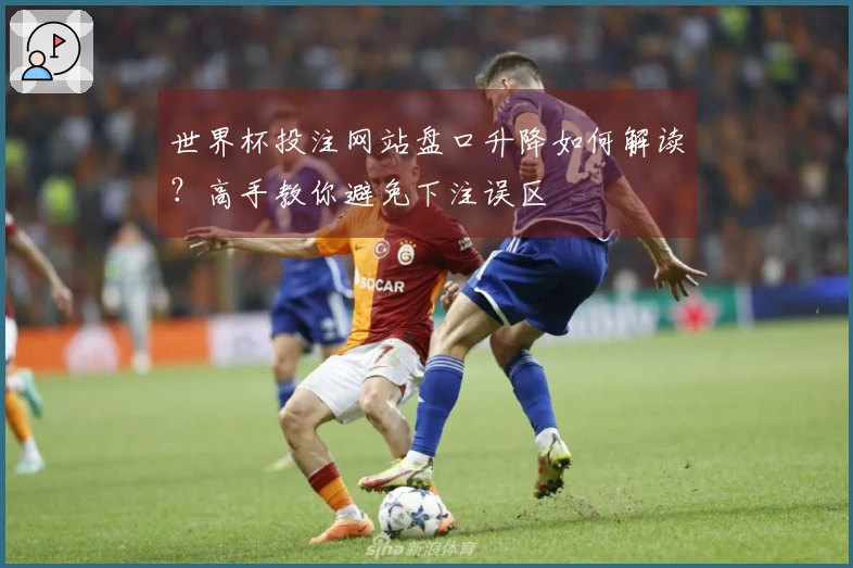 世界杯投注网站盘口升降如何解读？高手教你避免下注误区