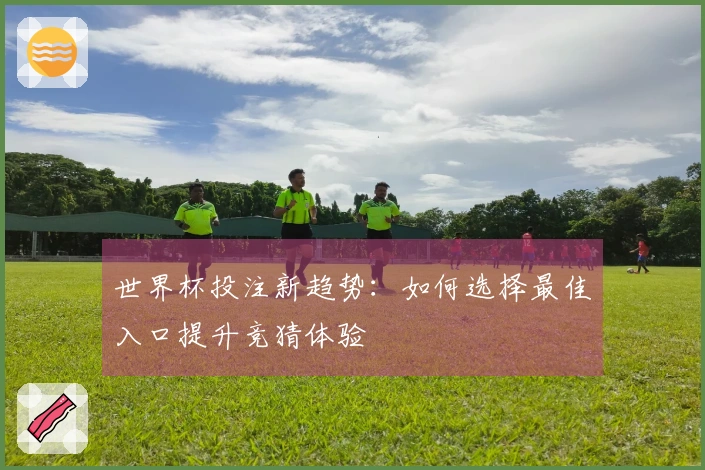 世界杯投注新趋势：如何选择最佳入口提升竞猜体验