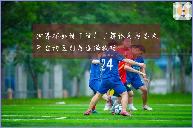 世界杯如何下注？了解体彩与各大平台的区别与选择技巧