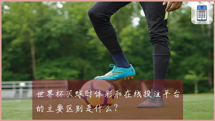 世界杯买球时体彩和在线投注平台的主要区别是什么？