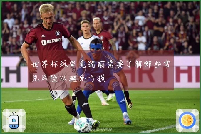 世界杯冠军竞猜前需要了解哪些常见风险以避免亏损