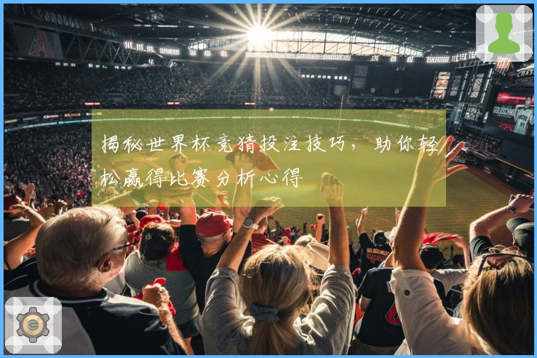 揭秘世界杯竞猜投注技巧，助你轻松赢得比赛分析心得