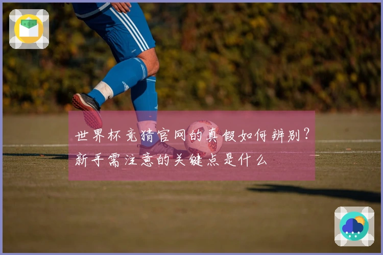世界杯竞猜官网的真假如何辨别？新手需注意的关键点是什么