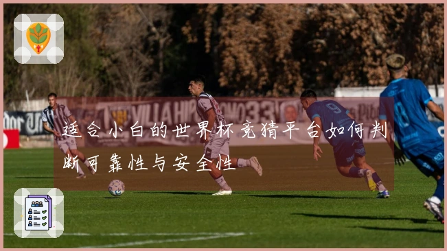 适合小白的世界杯竞猜平台如何判断可靠性与安全性