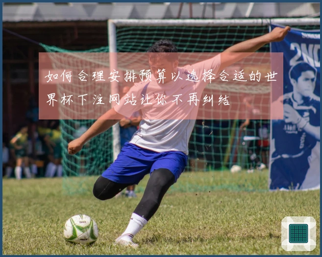 如何合理安排预算以选择合适的世界杯下注网站让你不再纠结