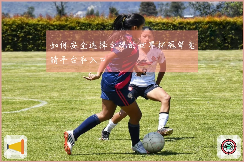 如何安全选择合规的世界杯冠军竞猜平台和入口