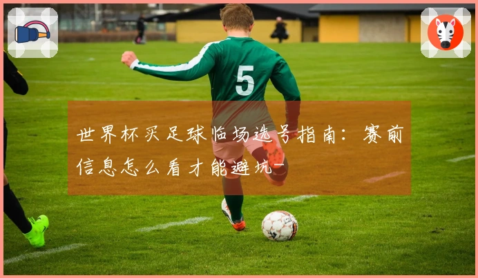 世界杯买足球临场选号指南：赛前信息怎么看才能避坑-