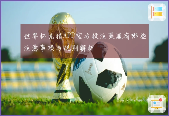 世界杯竞猜APP官方投注渠道有哪些注意事项与规则解析