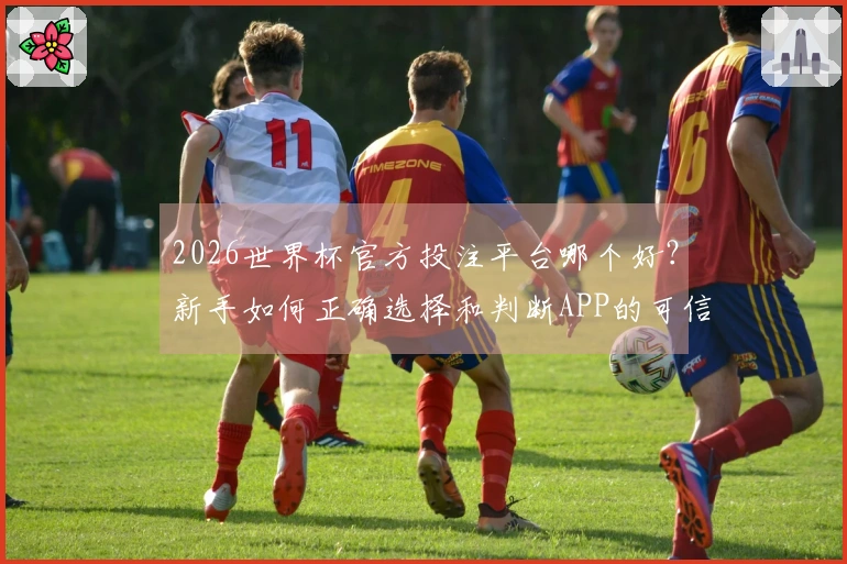 2026世界杯官方投注平台哪个好？新手如何正确选择和判断APP的可信度