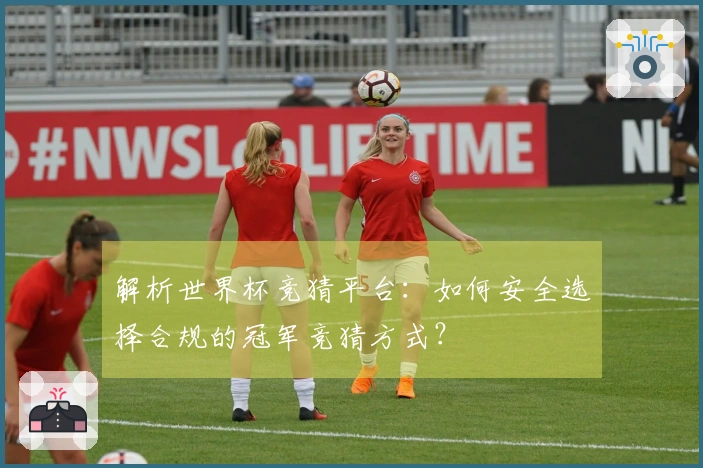 解析世界杯竞猜平台：如何安全选择合规的冠军竞猜方式？