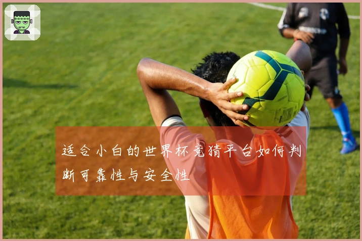 适合小白的世界杯竞猜平台如何判断可靠性与安全性